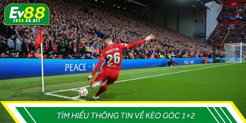 Tìm hiểu thông tin về kèo góc 1×2