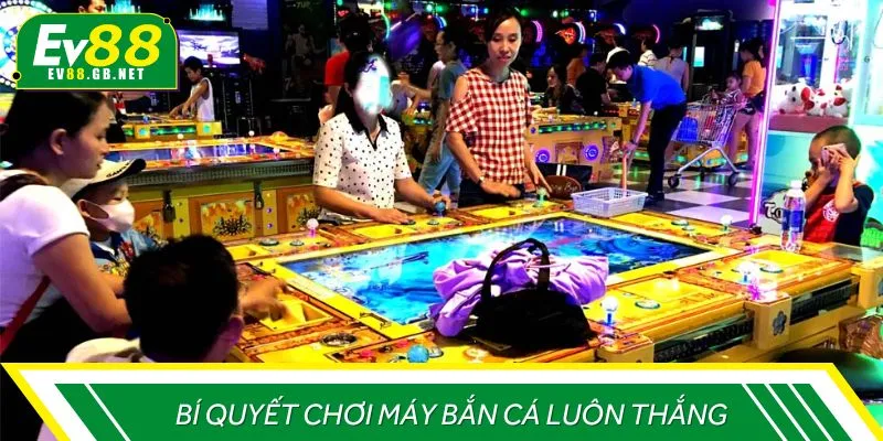 Tham khảo cách hay để luôn là người giành được chiến thắng